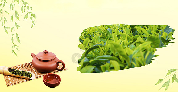 绿色清新春茶背景背景图片