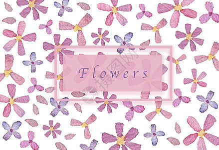 紫花图片 紫花图片大全 紫花背景图片 紫花图片 紫花图片大全 紫花背景图片