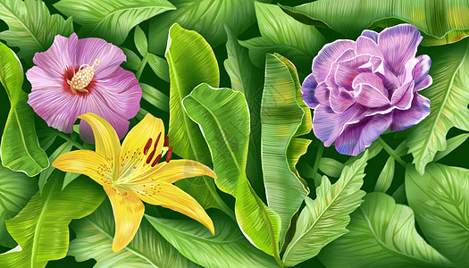 鲜花背景素材植物背景素材插画