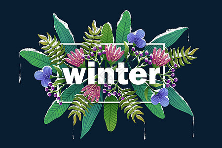 唯美冬日字母边框花卉背景图片