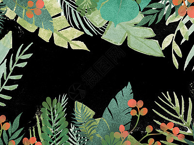 热带植物背景图片