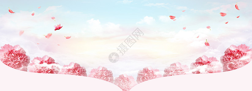 母亲节浪漫康乃馨背景背景图片