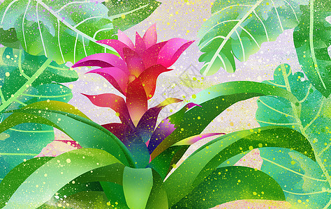 花卉插画背景图片