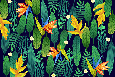 热带植被花卉图案图片