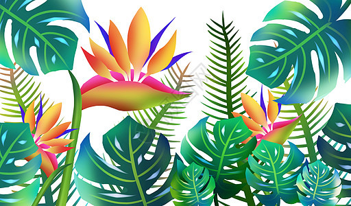 热带植被热带雨林手绘高清图片