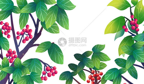 植被插画图片