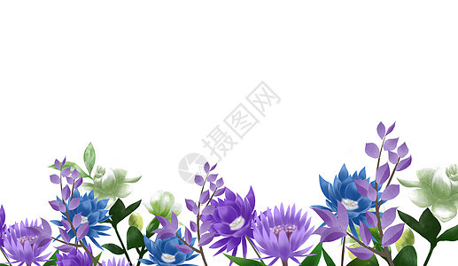 花卉植物素材背景图片