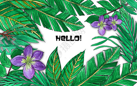 手绘水彩热带植物图片