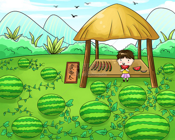 夏天西瓜地