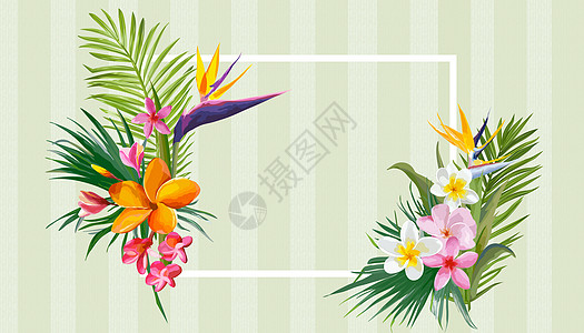 植物花卉边框背景图片