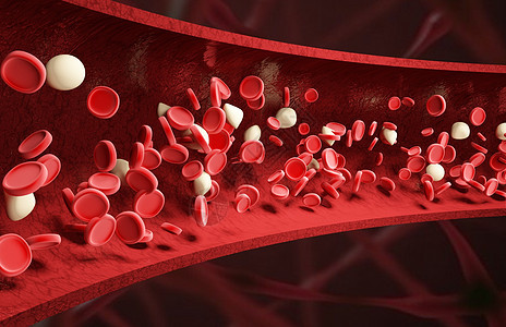 血红细胞血管场景图片