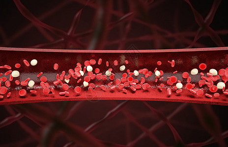 保护功能血红细胞血管场景设计图片