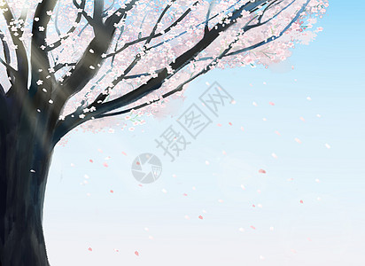 樱花树背景图片