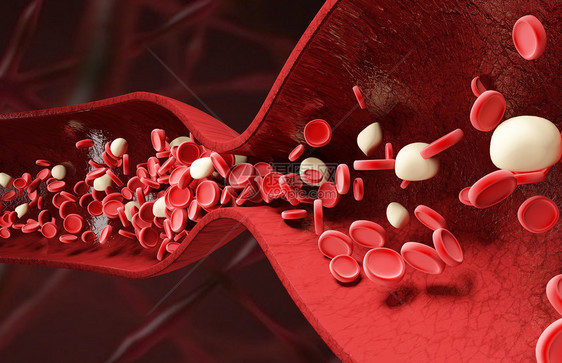 血红细胞血管场景图片