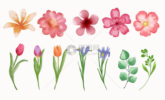 水彩花朵元素图片