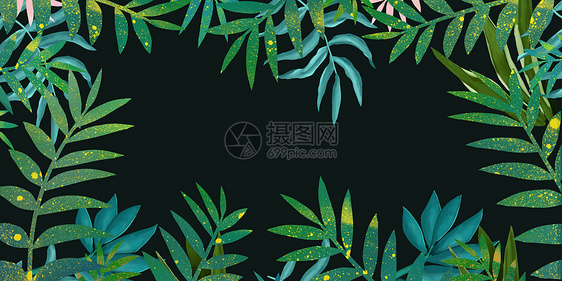 植物花卉背景图片