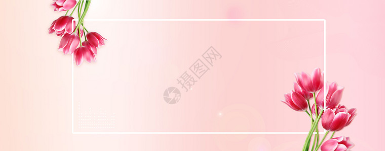 粉红色花图片 粉红色花素材 粉红色花高清图片 摄图网图片下载