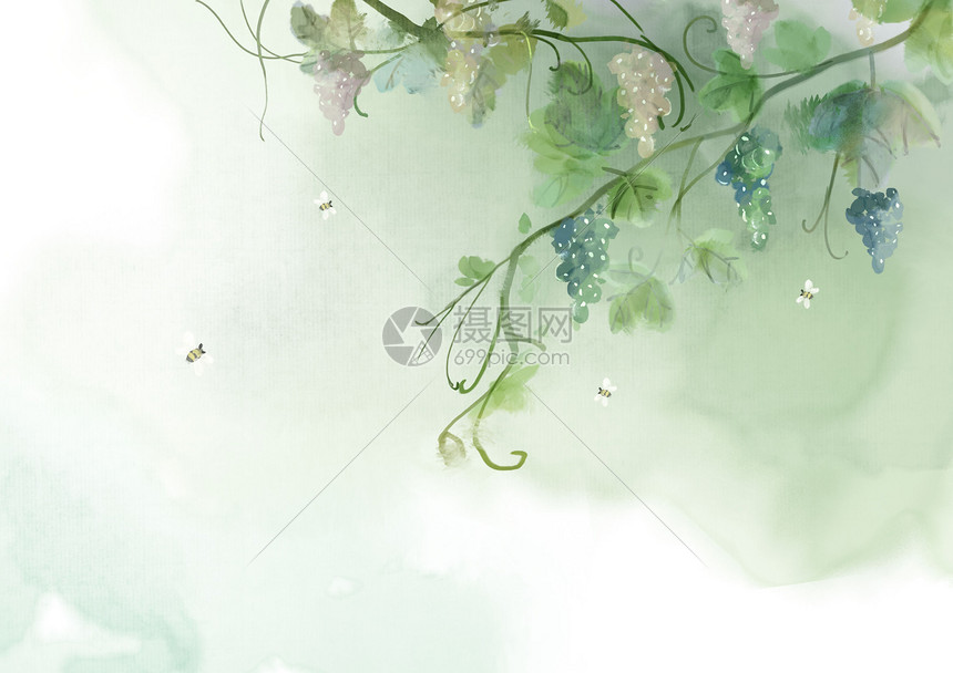 手绘水彩葡萄插画图片下载 正版图片 摄图网