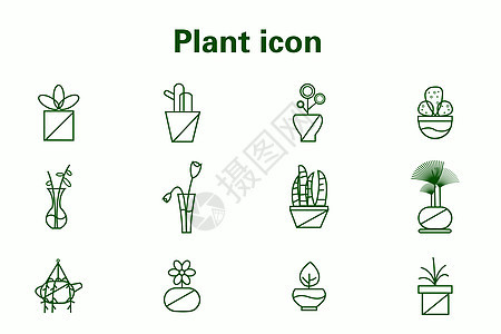 植物图标图片