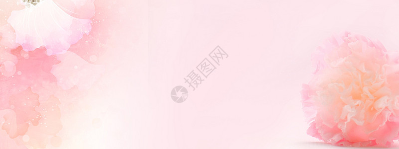 粉色康乃馨背景图片
