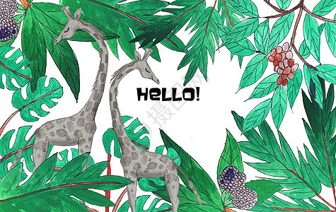 手绘水彩热带植物长颈鹿图片