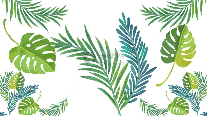 植物素材插画图片下载 正版图片 摄图网 植物素材插画图片下载 正版图片 摄图网