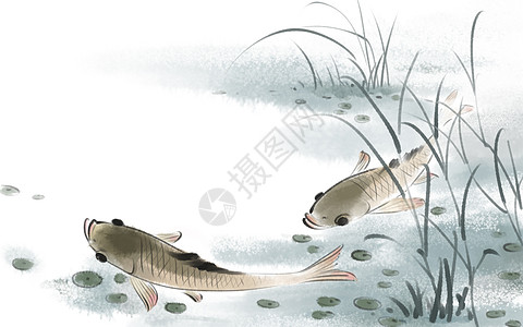 中国风鱼图片