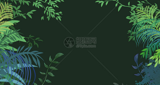 夏季热带植物背景图片