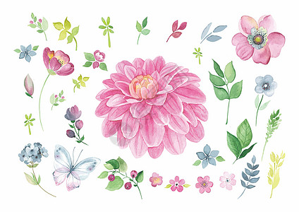 花卉背景彩绘植物高清图片