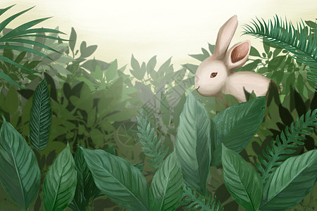 森林小兔子背景图片