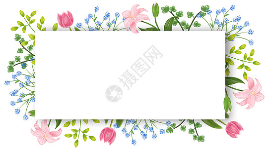 花卉留白背景图片