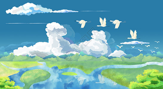 大自然湿地草原上的大雁背景图片