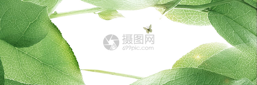 简约清新电商banner图片