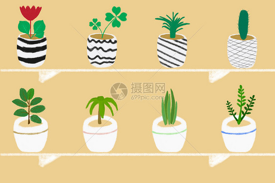 室内植物图片