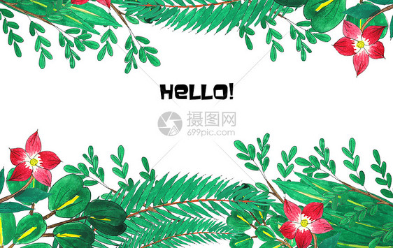 手绘水彩植物图片