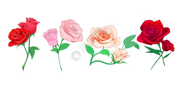 唯美玫瑰花素材图片