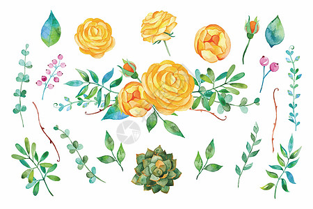 赞玫瑰花素材花卉背景素材插画