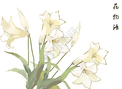 百合花卉背景元素图片