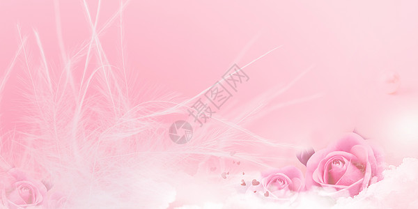 粉玫瑰背景粉色浪漫花朵背景设计图片