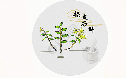 中草药插画图片