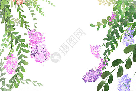 紫色小花图片 紫色小花素材 紫色小花高清图片 摄图网图片下载 紫色小花图片 紫色小花素材 紫色小花高清图片 摄图网图片下载