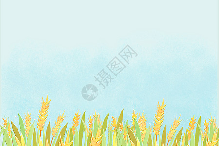 稻谷背景素材图片