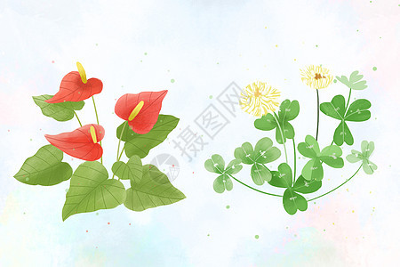 植物花卉元素背景图片