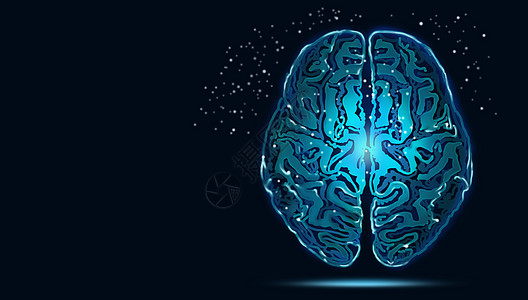 大脑元素大脑科技背景设计图片