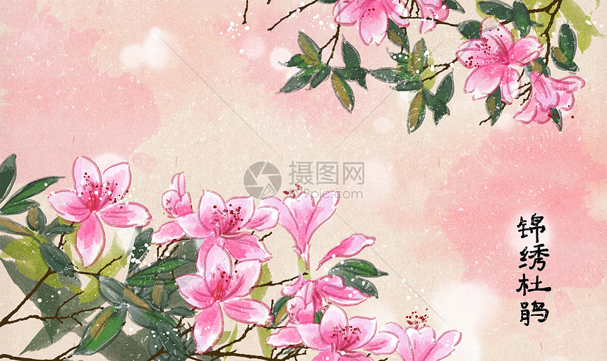 中国风锦绣杜鹃花插画插画图片下载 正版图片 摄图网 中国风锦绣杜鹃花插画插画图片下载 正版图片 摄图网