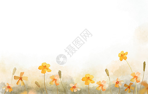 夏天边框橘色花朵插画