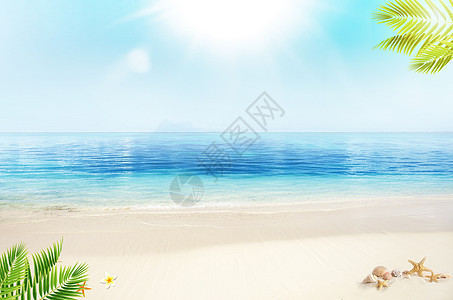 夏日绿叶夏日海滩背景设计图片