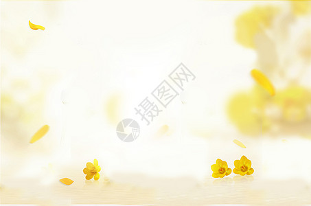 黄色清新花背景背景图片
