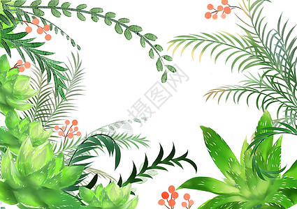 植物背景图片