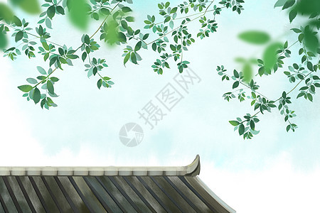 屋顶树叶背景图片